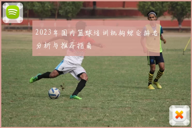 2023年国内篮球培训机构综合排名分析与推荐指南
