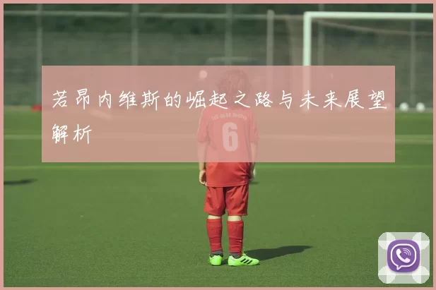 若昂内维斯的崛起之路与未来展望解析