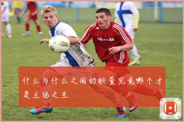 什么与什么之间的较量究竟哪个才是主场之王