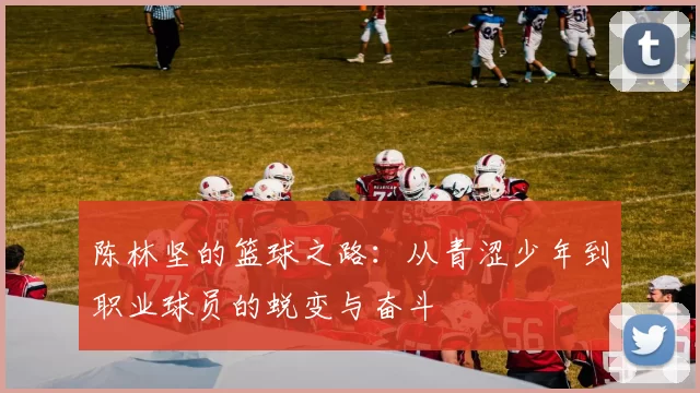 陈林坚的篮球之路：从青涩少年到职业球员的蜕变与奋斗