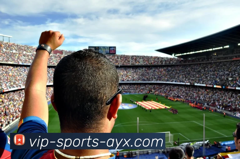 爱游戏APP 高清赛事图